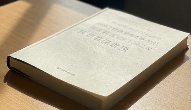 应用开发与系统集成常见问题及处理建议